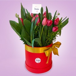 Envío de Tulipanes, Florería Petalun Detalles y Regalos
