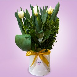 Envío de Tulipanes, Florería Petalun Detalles y Regalos