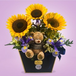 Envío de Girasoles, Iris, Astromelias, Florería Petalun Detalles y Regalos